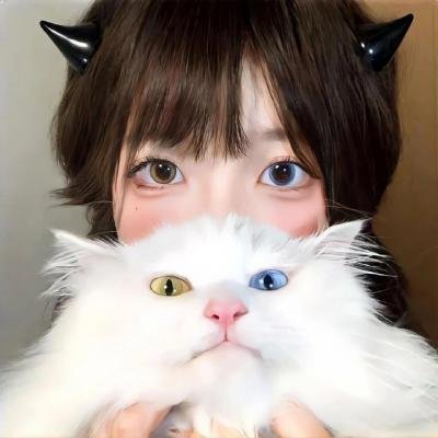 爱情公寓番外篇：辣味英雄传 第二季